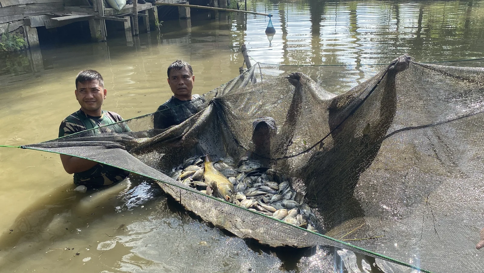 Fish cultivation in Tapanuli